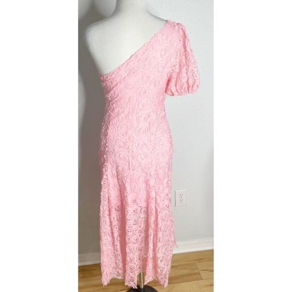 Hello Molly Pink IN FULL BLOOM MESH MIDI DRESS One Shoulder Floral Medium US 6 - Picture 4 of 4